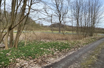 M20 NSG Zerninsee geplant 