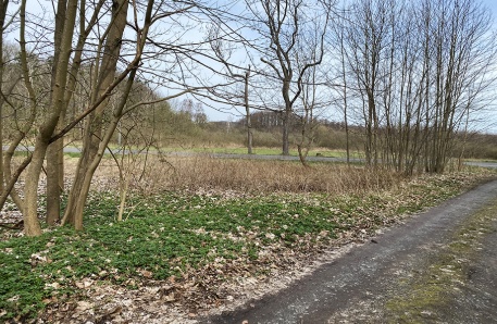 M20 NSG Zerninsee geplant